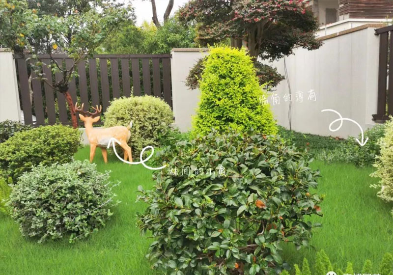 家博園藝｜湖畔春秋