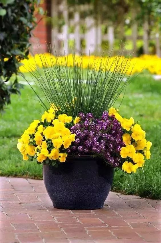 微信圖片_20230910142507 微信圖片_20230910142507