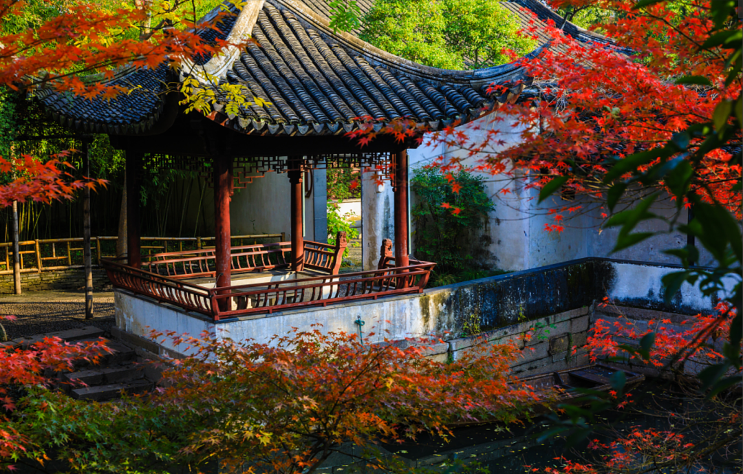 微信圖片_20231024102357 微信圖片_20231024102357