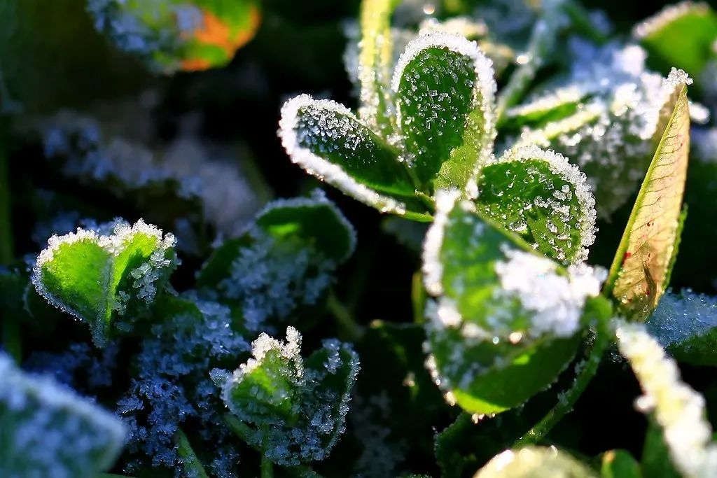 微信圖片_20231024102451