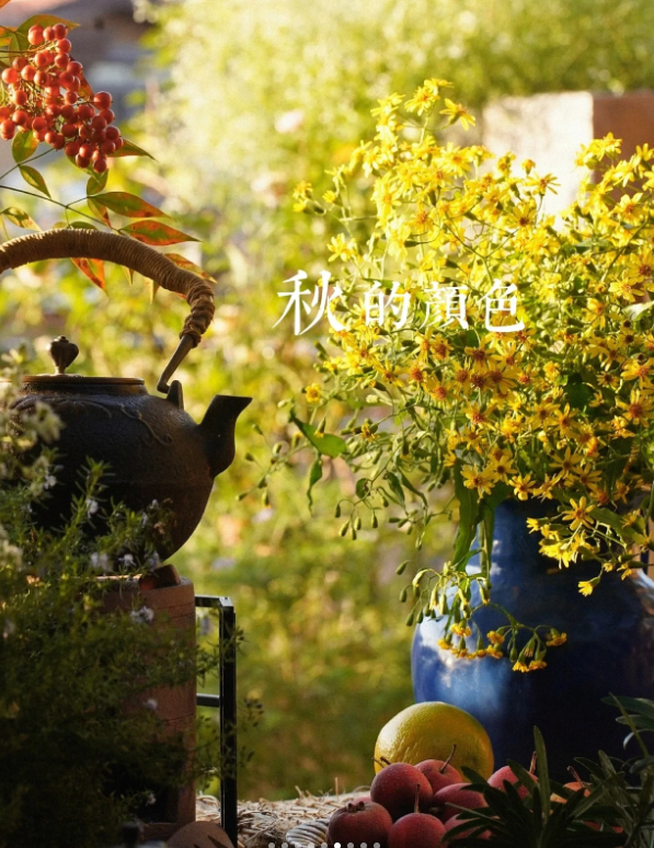 微信圖片_20240831194243 微信圖片_20240831194243