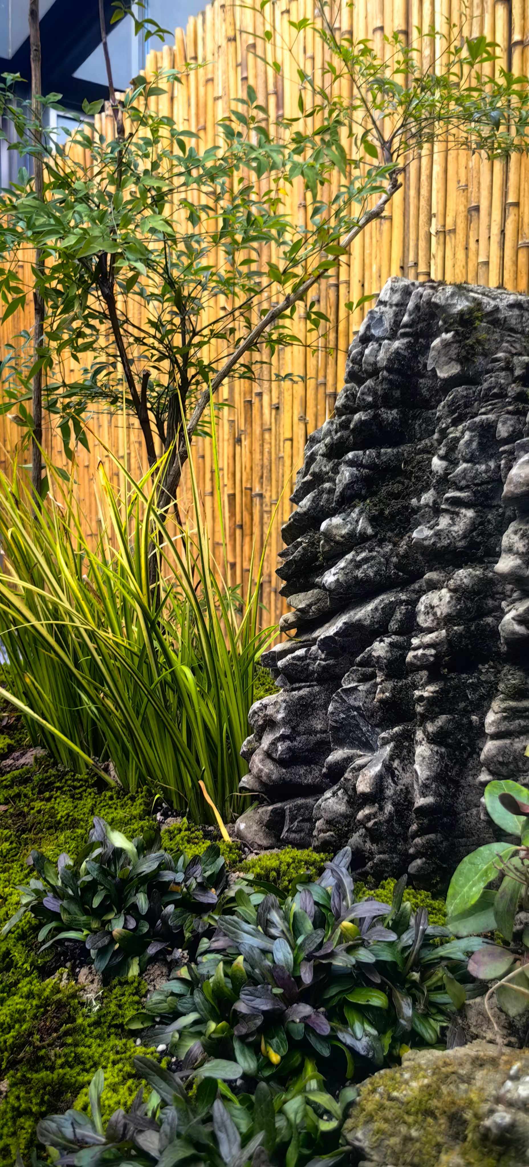 微信圖片_20240929163340