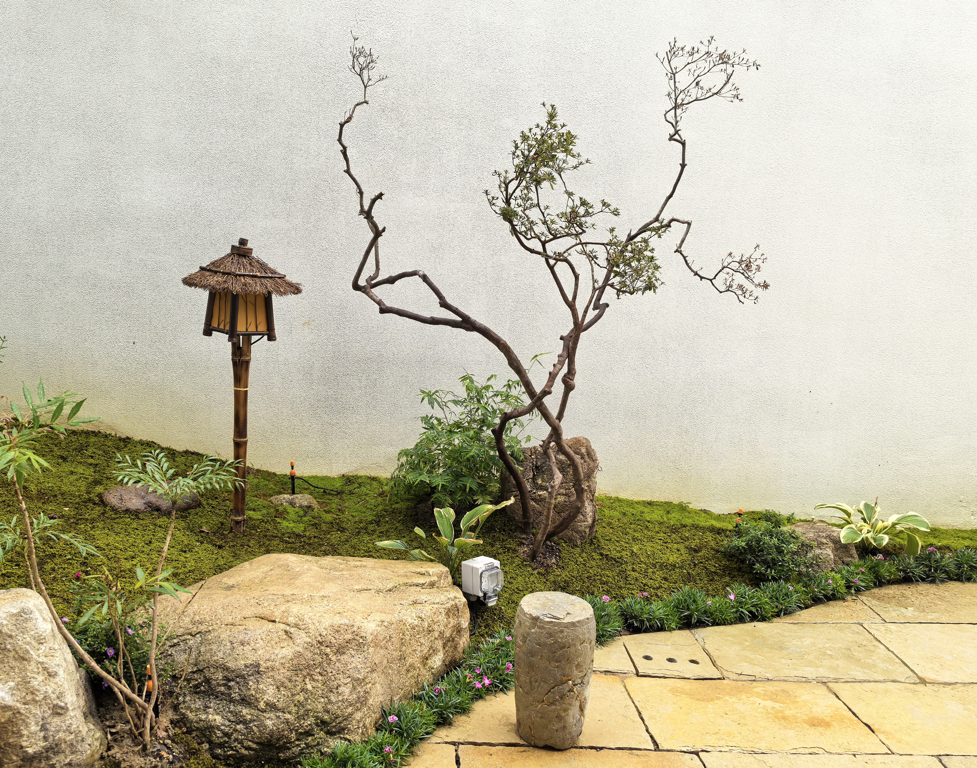 微信圖片_20241031083758