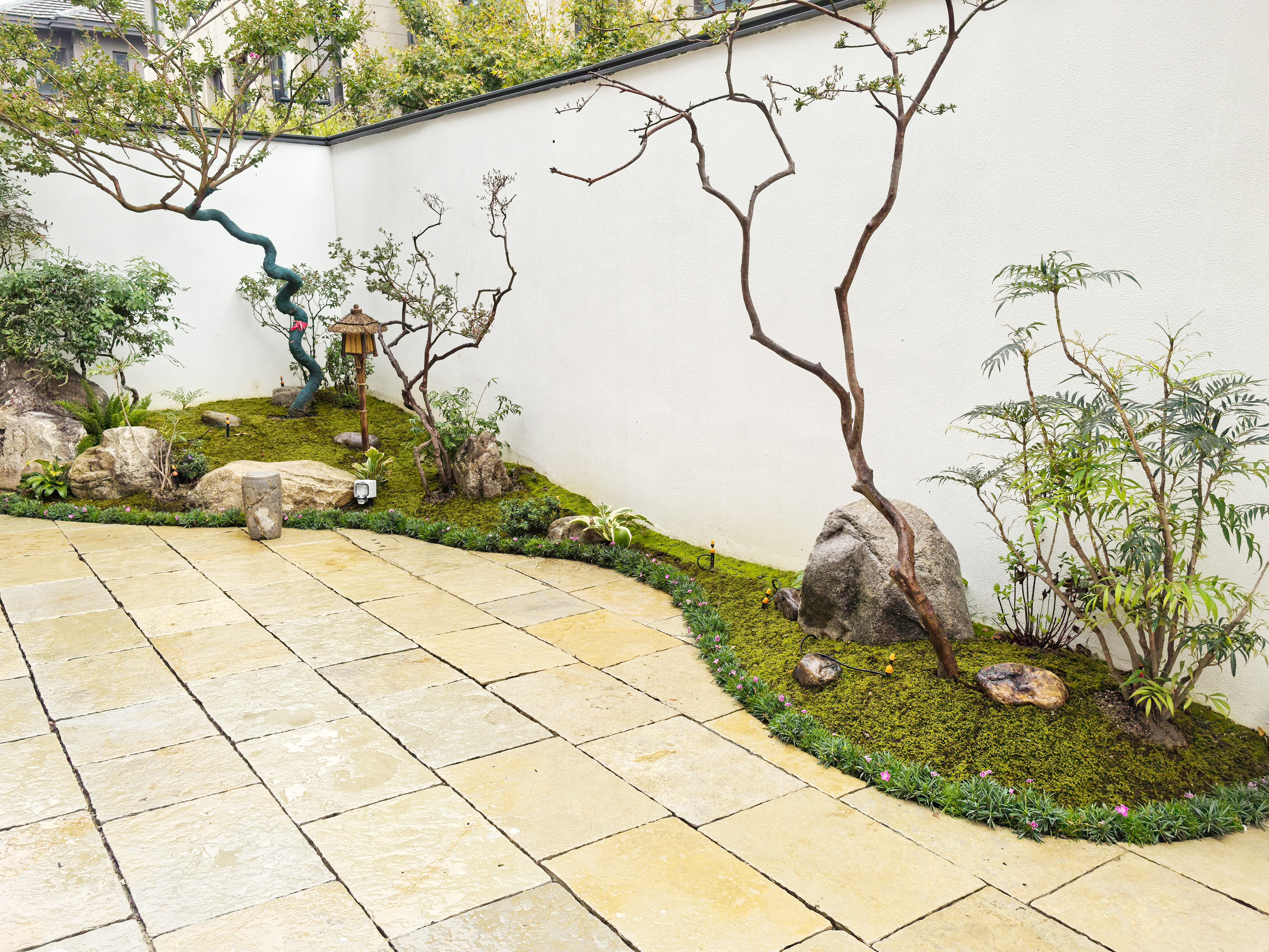 微信圖片_20241031083815