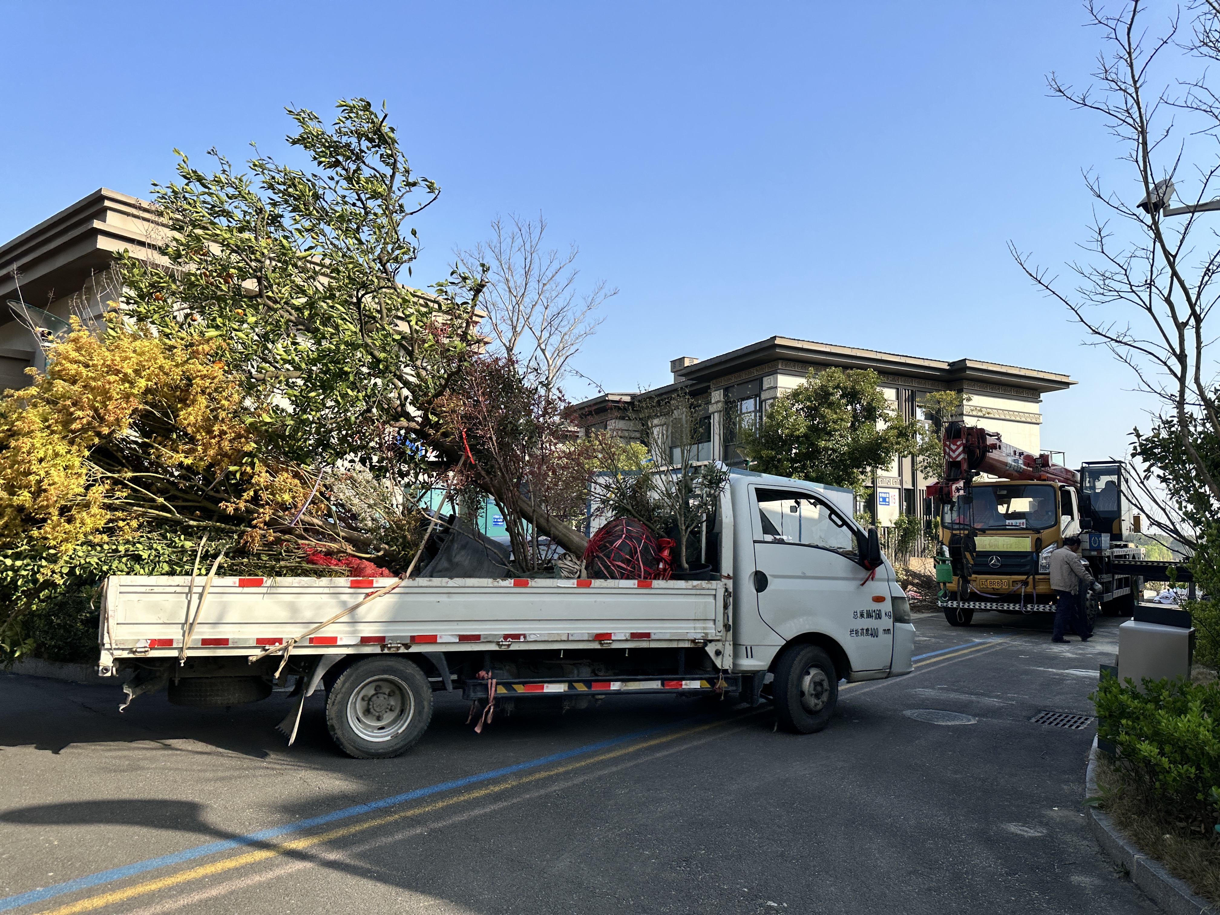 微信圖片_20250327153304